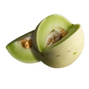 honeydew