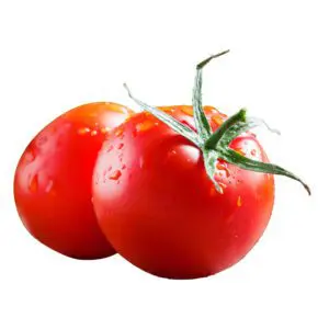 field tomatoes