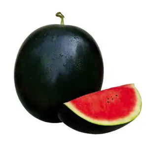 sugar baby watermelon