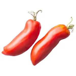 San Marzano tomato