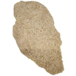 Veal Schnitzel
