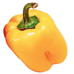 yellow pepper