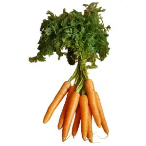 carrots in a bunch