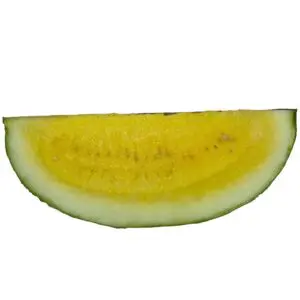 Yellow Watermelon