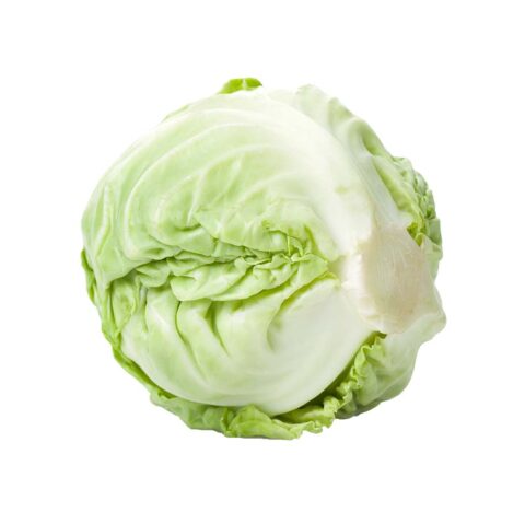 Local Green Cabbage