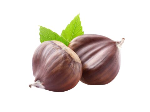 Chestnuts scaled 2