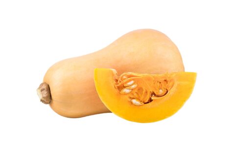 Butternut Squash