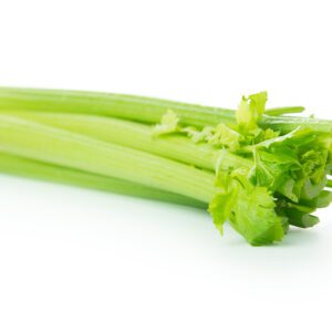 celery 1