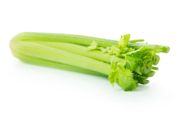 celery 1