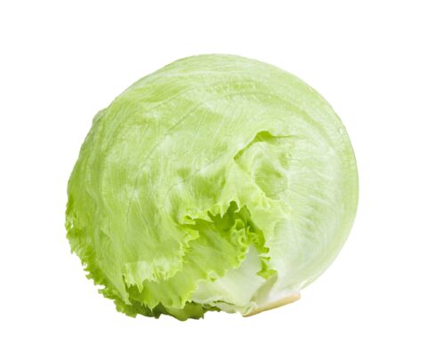 Iceberg Lettuce