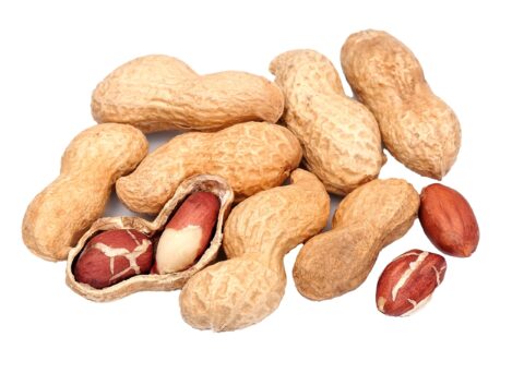 In-shell Peanuts