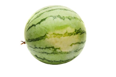 Mini Seedless Watermelons