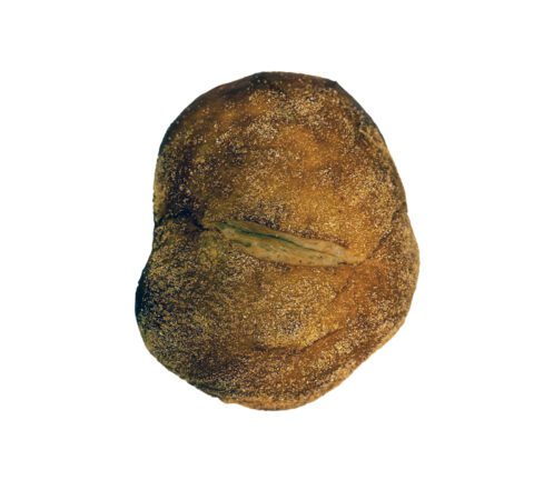 potato bread
