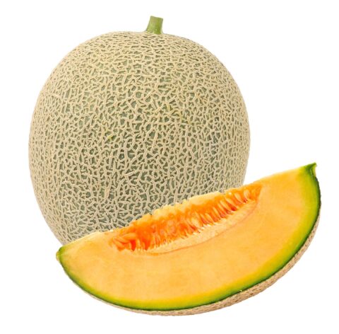 cantaloupe
