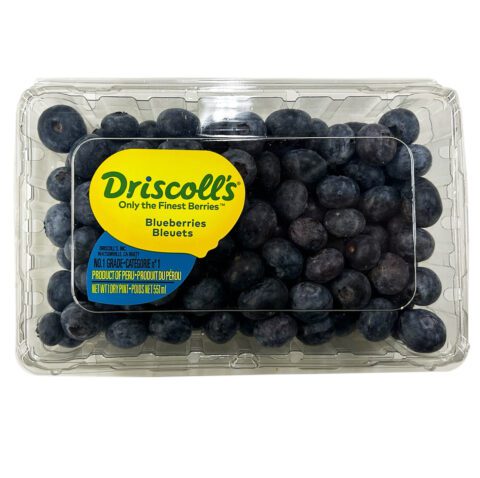 driscoll's blueberries 551ml 1 pint