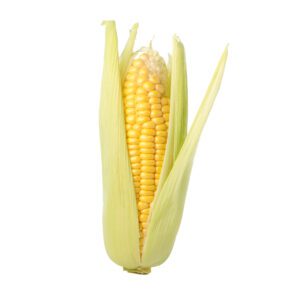 corn