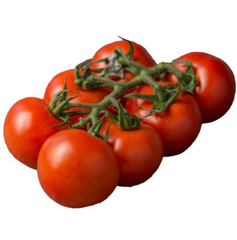 tomato on the vine