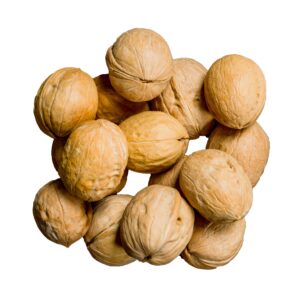 walnuts in shells01