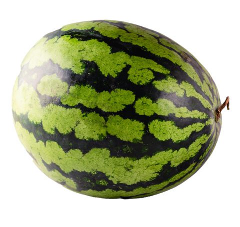 Seedless Watermelon