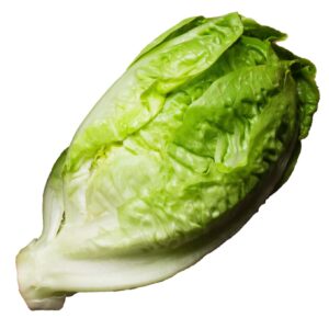 romaine lettuce