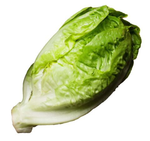 romaine lettuce