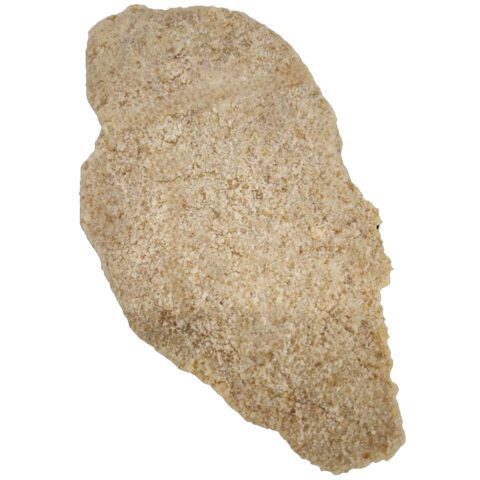 Veal Schnitzel