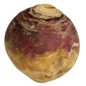 rutabaga