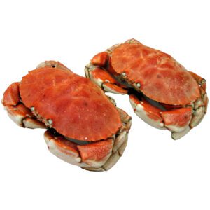 Whole Jonah Crab