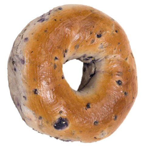 bagel blueberry