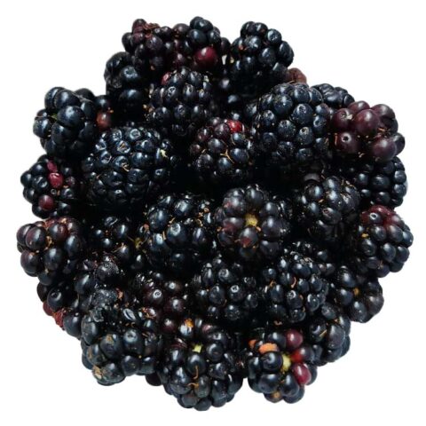 blackberries