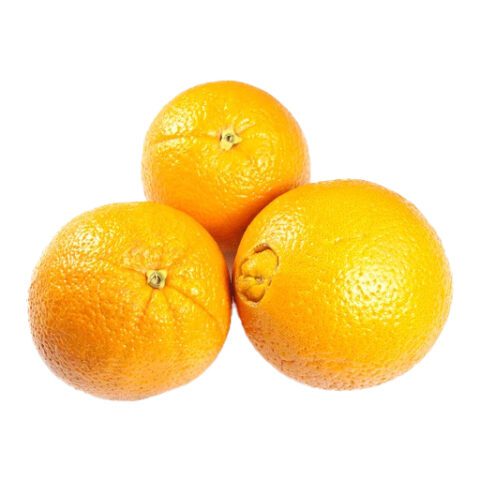 navel oranges