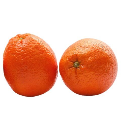 navel oranges