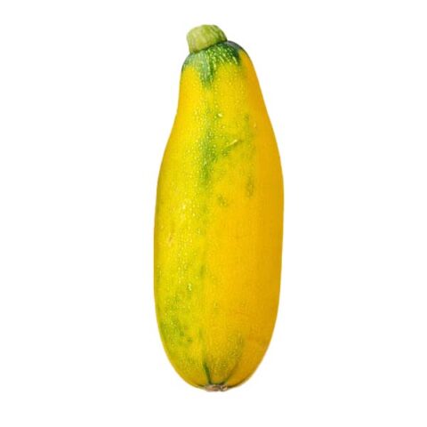 Yellow Zucchini